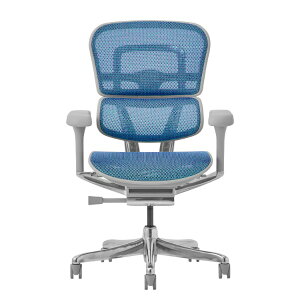 �։Ƌ� 507941 EHP2-LAM-5D-DR-GF-BL �O���[�t���[��/�u���[���b�V�� PRO2 Low Type [�I�t�B�X�`�F�A] ���[�J�[����