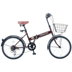 Raychell FB-206R uE (35650) [܂肽ݎ] (20×1.75EV}m6iϑ)]yzszyszyEkCEzszw ʋ ʊw t OL j w AEghA V