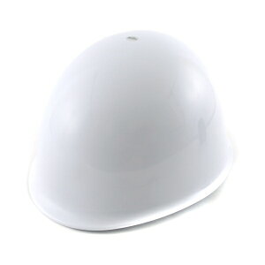 g[[ZteB[ No.110F wbg 