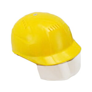 g[[ZteB[ No.81 L V[hYtyƗpXq