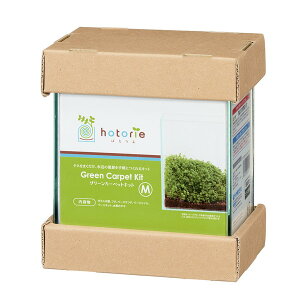  قƂ肦 O[J[ybgLbg M Ϗ܋p p