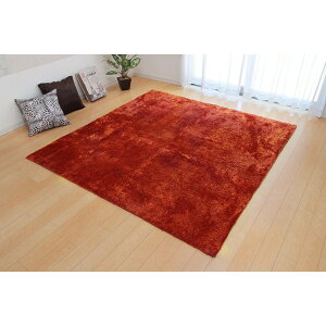 CPqRER[|[V 1280200201403 O J[ybg 4 n VM[ Iׂ7F wWx IW 200×300cm(zbgJ[ybgΉ) [J[