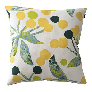 X~mG NbVJo[ CG[ 45×45cm 􂦂 || V335C 1 [J[ V