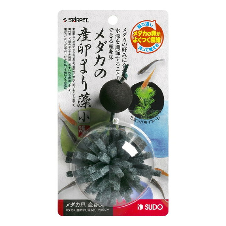 楽天市場】スドー メダカ産卵まり藻 小 カボンバ S-5806 観賞魚用 水槽 