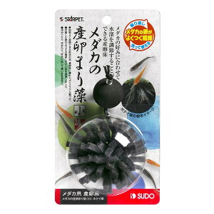 Xh[ _JY܂葔  zeC S-5807 Ϗ܋p p