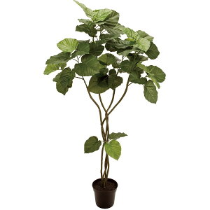 Ex[^ cCXg  CeAO[ tFCNO[  FG005226 5FGREEN [J[