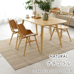 X~mG _CjOO Ebh 170×220cm i` [J[ V