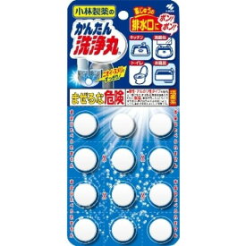 小林製薬 かんたん洗浄丸 レギュラー 12錠 新生活