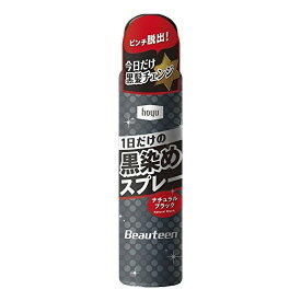 ホーユー ビューティーンクロゾメスプレーNブラック [ホーユー ビューティーン 黒染めスプレー (ナチュラルブラック) 80g]