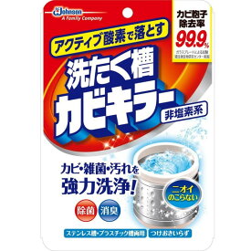 ジョンソン アクティブ酸素で落とす 洗たく槽カビキラー 250g 新生活