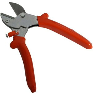  OWL #558 yʂ߂؂͂݃Ar^