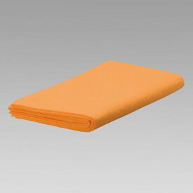 LEC すいすいクロス 強力吸水クロス S-452 新生活