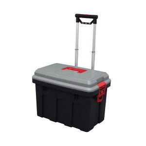 ACXI[} RV650C RVL[ 650 [J[