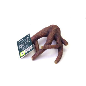 yGg[P5{!1410:00-1623:59z }J B M Ϗ܋p p