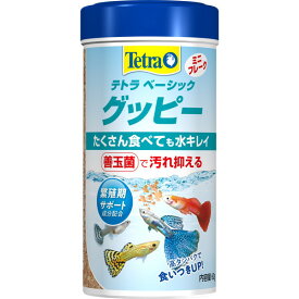 スペクトラムブランズ テトラ ベーシック グッピー 60g エサ フード