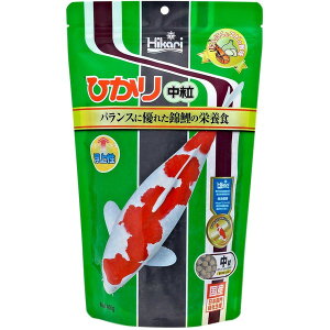 L[ Ђ蒆400g GT t[h