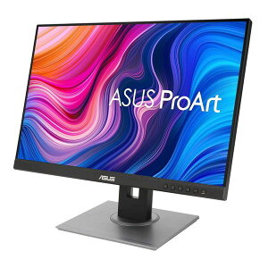 ASUS PA248QV ProArt [24.1^ChtfBXvC] V