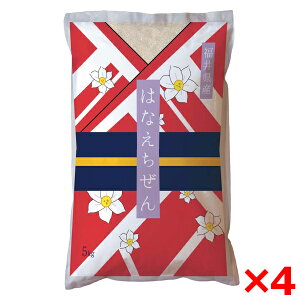 ߘaNxYV 䌧YniG`[ 20kg(5kg×4j [J[