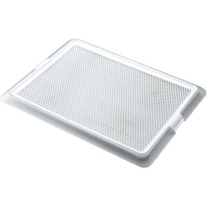 {rAR ybgg[NAbV MTCY  ybg gCg[ pgC  h~ Rېz