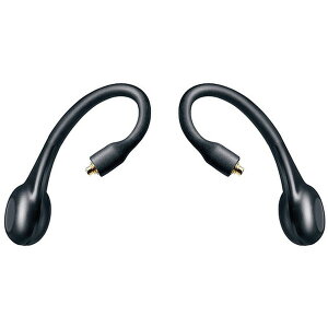 SHURE RMCE-TW2 [SCXEZLAtBbgEA_v^[(2)]