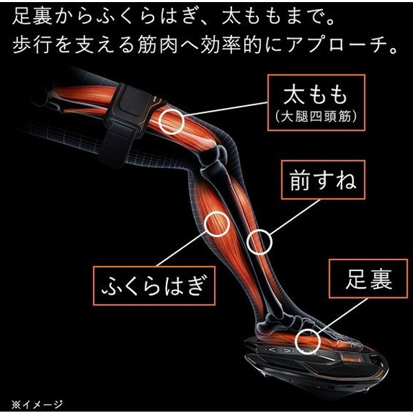 専門店 MTG SIXPAD Foot Fit Plus 2 trumbullcampbell.com