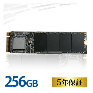 ADTEC ADC-M2D1P80-256G [3D NAND SSD ADC-M2D1P80 M.2 256GB NVMe PCIe Gen3x4 (2280)]