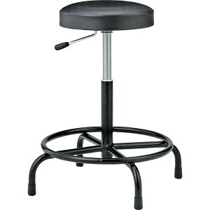 TRUSCO L-250 (rj[U[) (P) ubN [Ɨp`FA] V