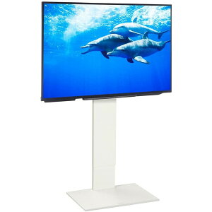 EQUALS WLTVA6111 zCg V2 [erX^h nC^Cv ]