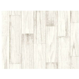 aOrA REN-02 yL mxV[g AC{[ [45cm×120cm] V