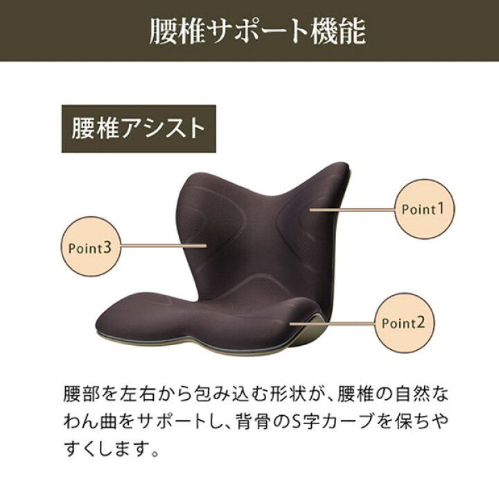 楽天市場】【正規販売店】 スタイル プレミアム ブラウン Style 