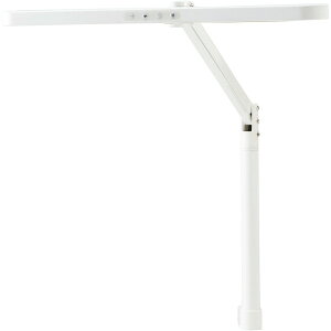 RCY~ LED[hRg[A[Cg zCg ECL-611 WH V