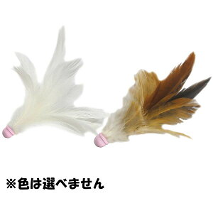 hM[} L NekoToyBox ققVg