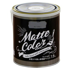 ATqy pryCg }bgJ[ 1.5L X[gO[