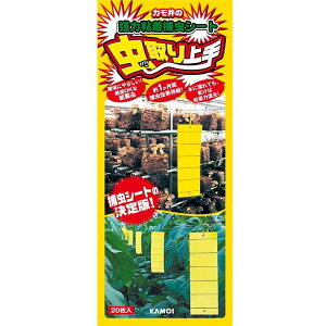 yGg[P5{!1410:00-1623:59z J J  F 20