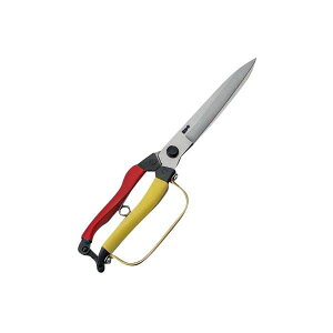 yGg[P5{!1410:00-1623:59z  n 荪n ֕t