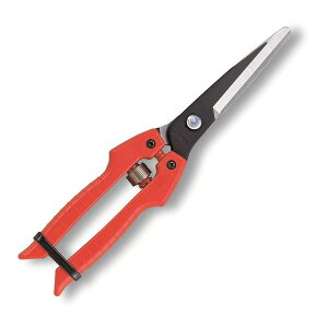 �A���X SE-65 ���� �ʂ˂��p ����