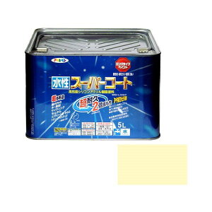 ATqy AP X[p[R[g 5L AC{[