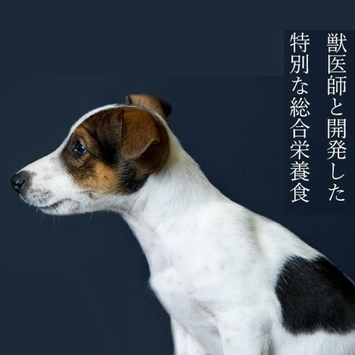 楽天市場】ペットライン Clinista JPスタイル 消化器ケア 胃腸が未発達な子犬用 チキン 2.4kg : XPRICE楽天市場店 楽天市場】ペットライン Clinista JPスタイル 消化器ケア 胃腸が未発達な子犬用 チキン 2.4kg : XPRICE楽天市場店