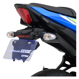 fCgi D25711 tF_[XEDGE GSX250R(18-22)