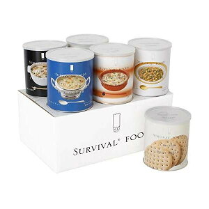 ZCG^vCY ToCot[Y  oGeBZbg NewtZbg