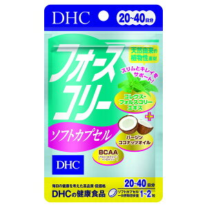 DHC 20 tH[XR[\tgJvZ 40