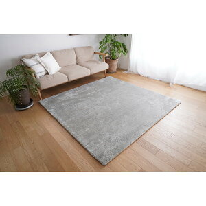 yGg[P5{!1410:00-1623:59z X~mG 􂦂 }CNt@Co[ 2wE^O MS-305 190×240cm N[O[ [J[