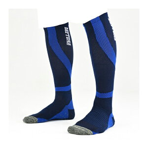 fCgi D31441 C Jy\bNX lCr[