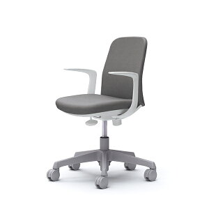 �y�[����45���z�I�J���� CD23EW FXW1 �O���[ Lives Entry Chair [�I�t�B�X�`�F�A �f�U�C���A�[�� 5�{�r(�R���p�N�g�^�C�v) �z���C�g�{�f�B �E���^���L���X�^�[�^�C�v]