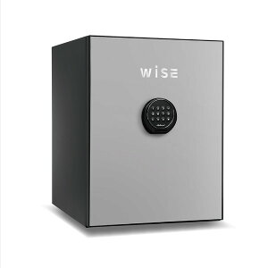  ω΋ WiSE O[ wF A[t 1ԑω  CeA [ ZLeB ƒ e36L 60kg Jݒu [J[ WS500ALLG diplomat fBv}bgEWp