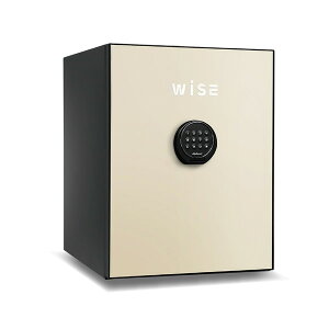  ω΋ WiSE N[ wF A[t 1ԑω  CeA [ ZLeB ƒ e36L 60kg Jݒu [J[ WS500ALC diplomat fBv}bgEWp