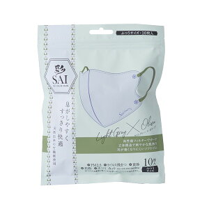  (SAI)̃}XN 10 CgO[×I[u ӂTCY