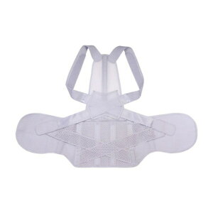 At@bNX ҂̍琳pxg LL-3LTCY 203223 [J[