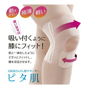 At@bNX ҂̕GT|[^[ s^ LTCY 434191