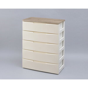 `FXg 5i i ACXI[} o e vX`bN 73cm [{bNX [P[X ߗ [ ^X rO[ l炵 V rO fUCEbhg